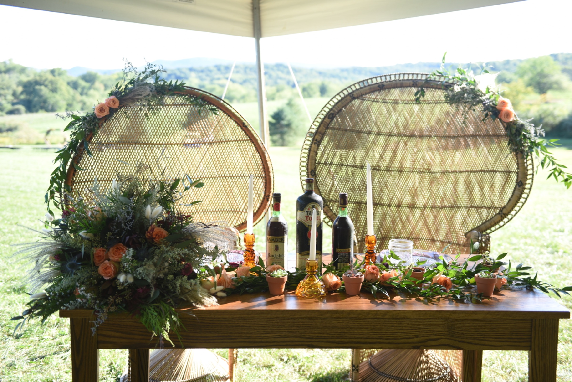 A wedding at 100 Springs Farm